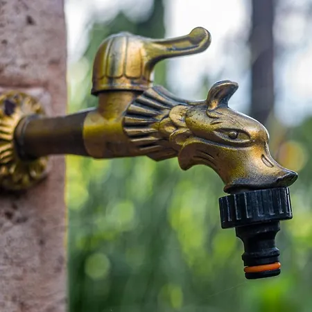 Bendeguz Vendeghaz *